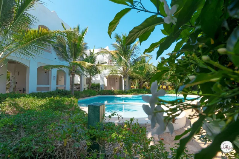 The garden and pool seen through the palms