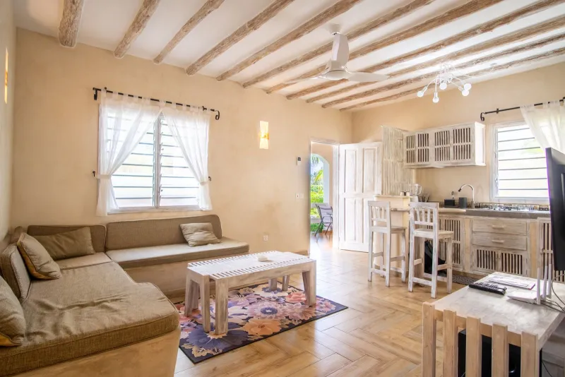 The open-space living room and kitchen of an apartment