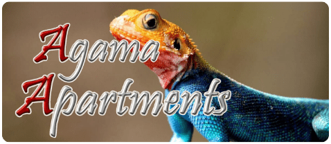 Agama Apartments, Apartments and Villa to rent in Watamu