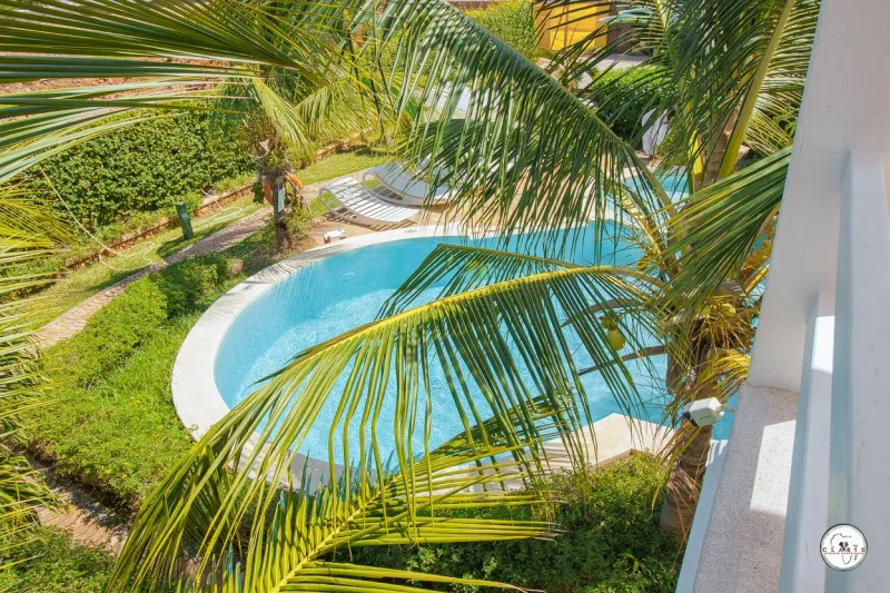 The curving pool under the palms
