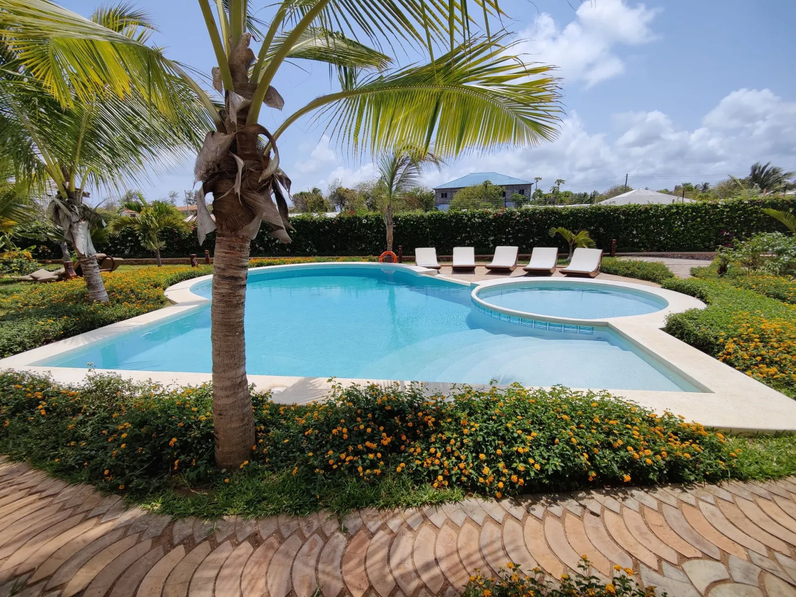 The pool and loungers at Agama Apartments on a sunny day